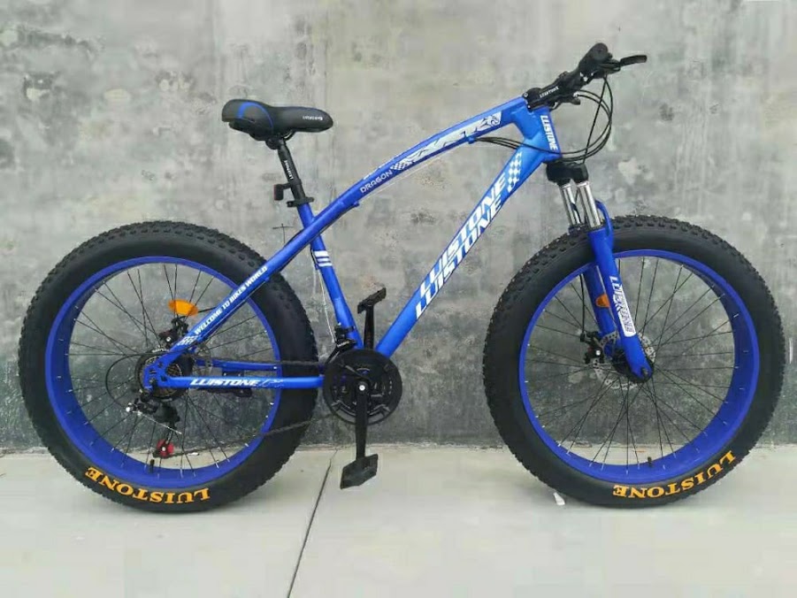 Supreme Cycle store and bicycle stock — owner photo 19